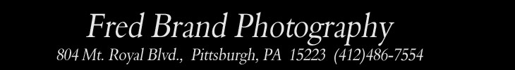 Fred Brand Photography - logo graphic